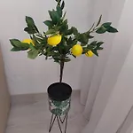Zorilor 아파트