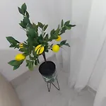 Zorilor 아파트 *